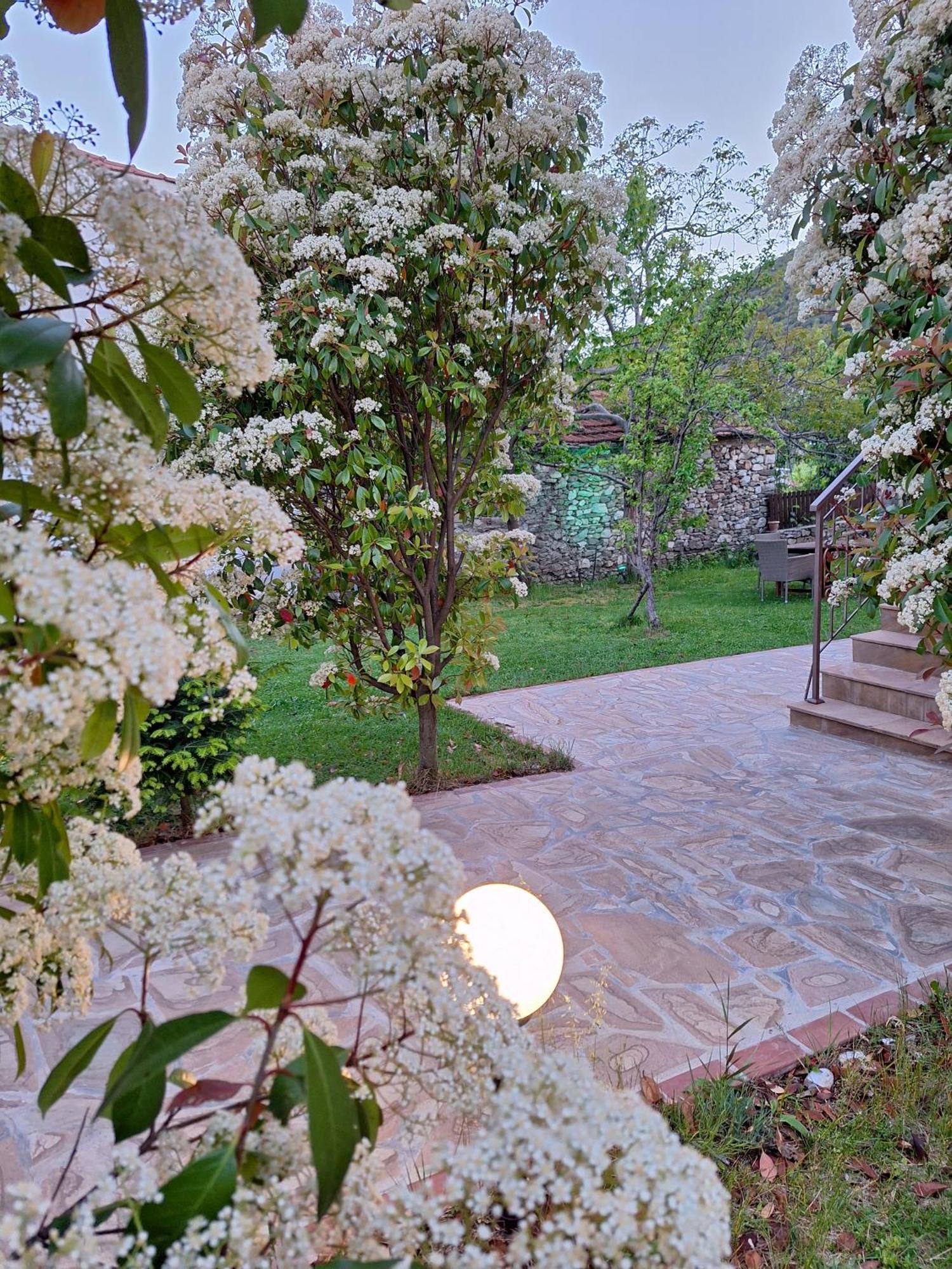 Country House On Mount Olympus Karia  Kültér fotó